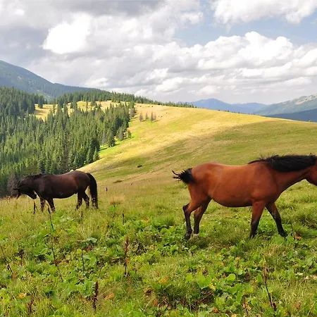 Sadyba Karpatiya Guest house Yaremche