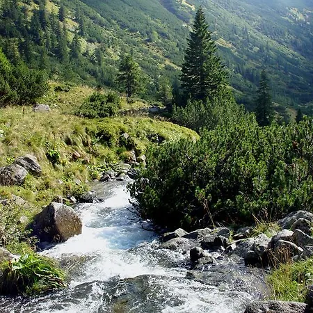 Sadyba Karpatiya * Yaremche