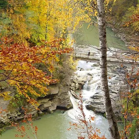 Guest house Sadyba Karpatiya *