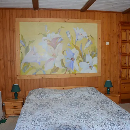 Guest house Sadyba Karpatiya Yaremche