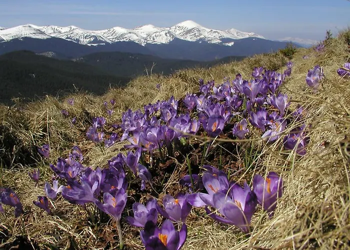 Karpatiya Konukevi