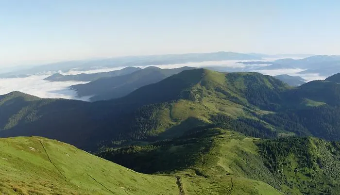 Karpatiya
