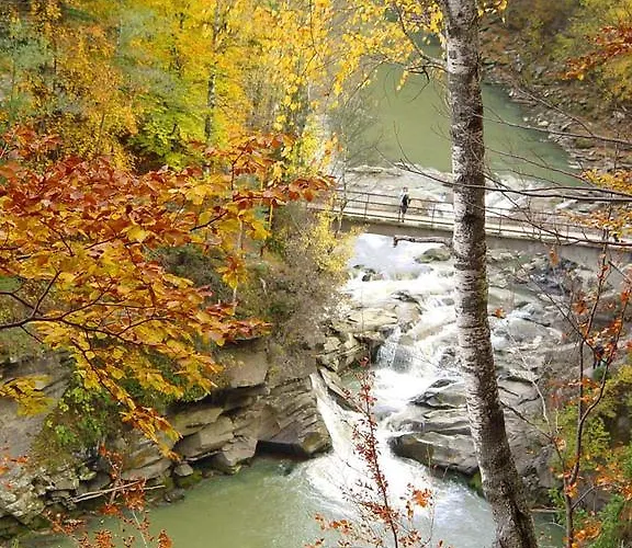 Penzion Karpatiya *