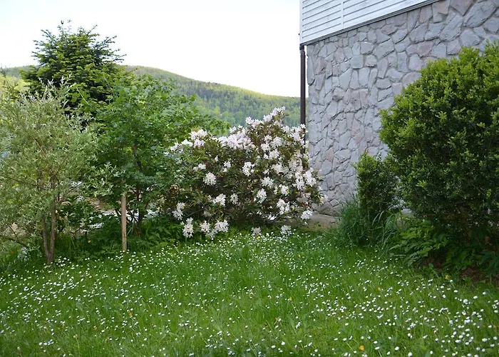 Karpatiya