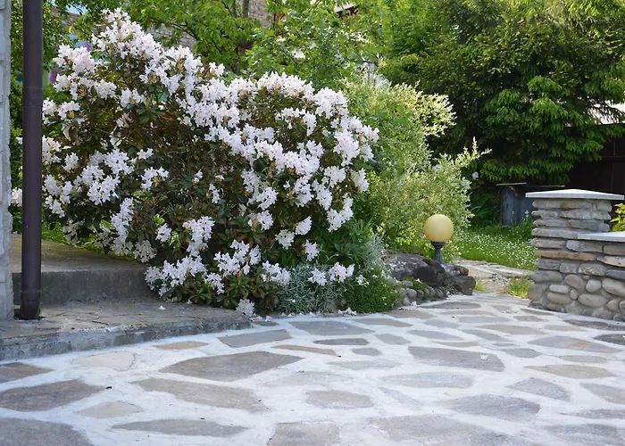 Karpatiya